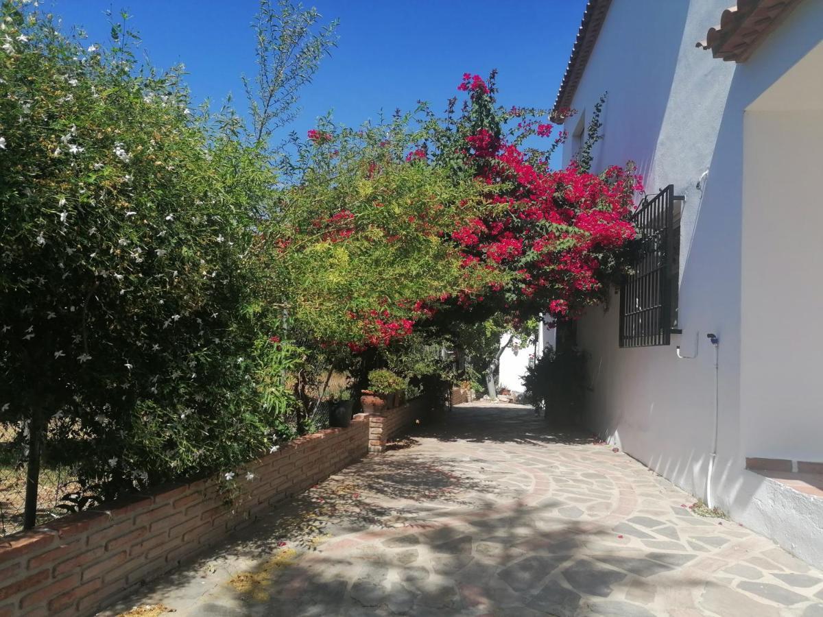 Casa Luis Villa บีญวยลา ภายนอก รูปภาพ
